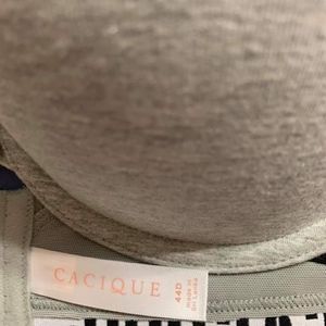 Lane Bryant/ Cacique